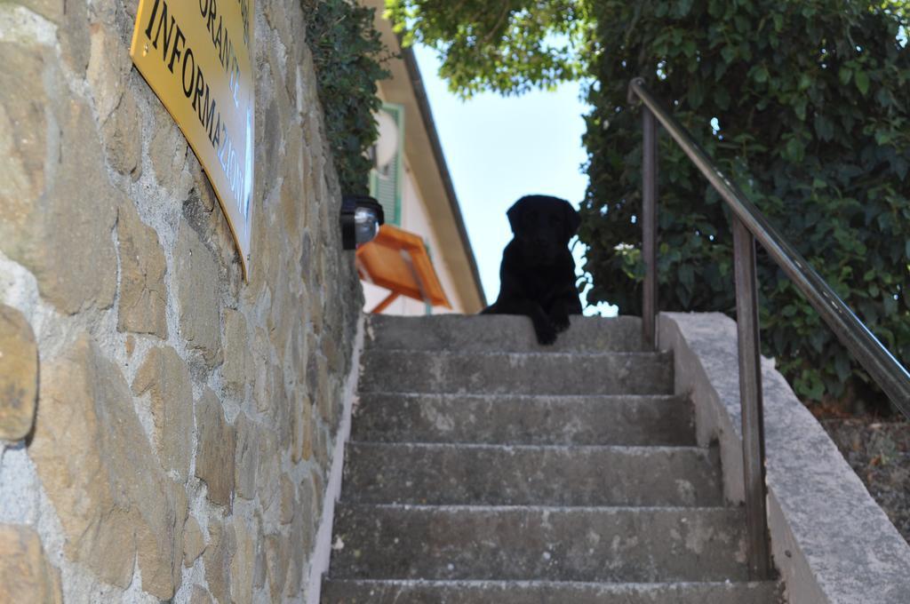 Agriturismo Il Cerrosughero Βίλα Scarlino Εξωτερικό φωτογραφία