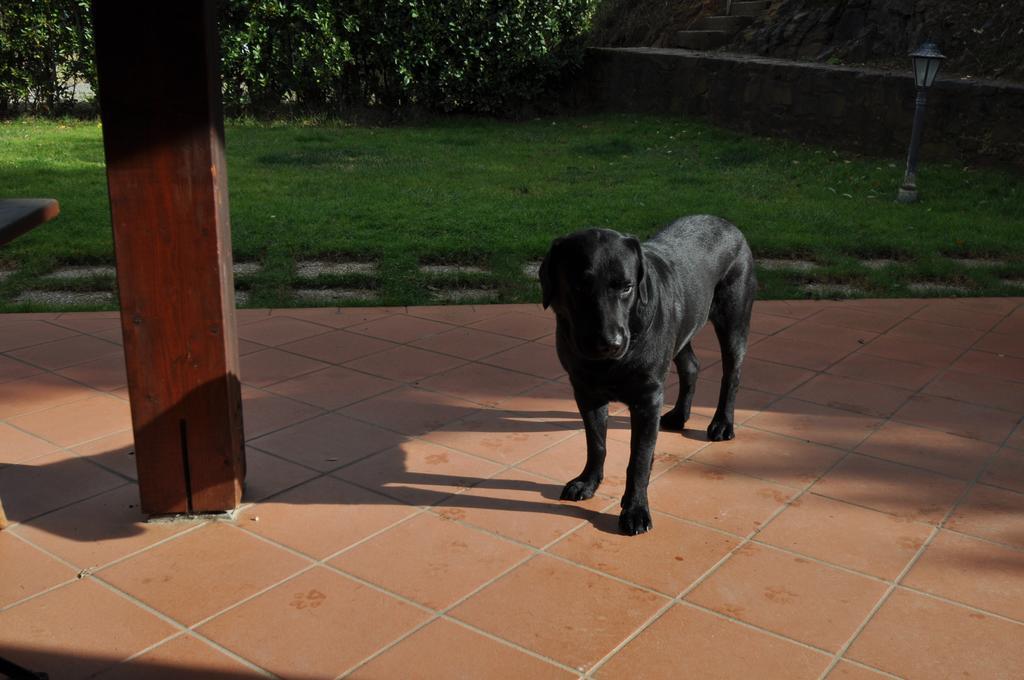 Agriturismo Il Cerrosughero Βίλα Scarlino Εξωτερικό φωτογραφία