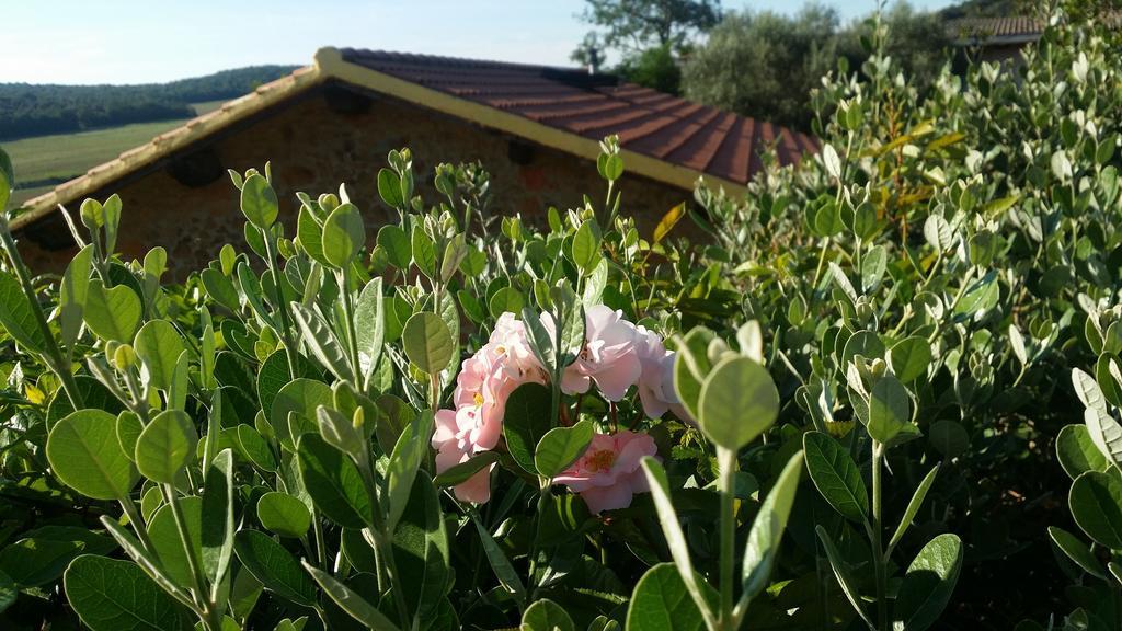 Agriturismo Il Cerrosughero Βίλα Scarlino Εξωτερικό φωτογραφία